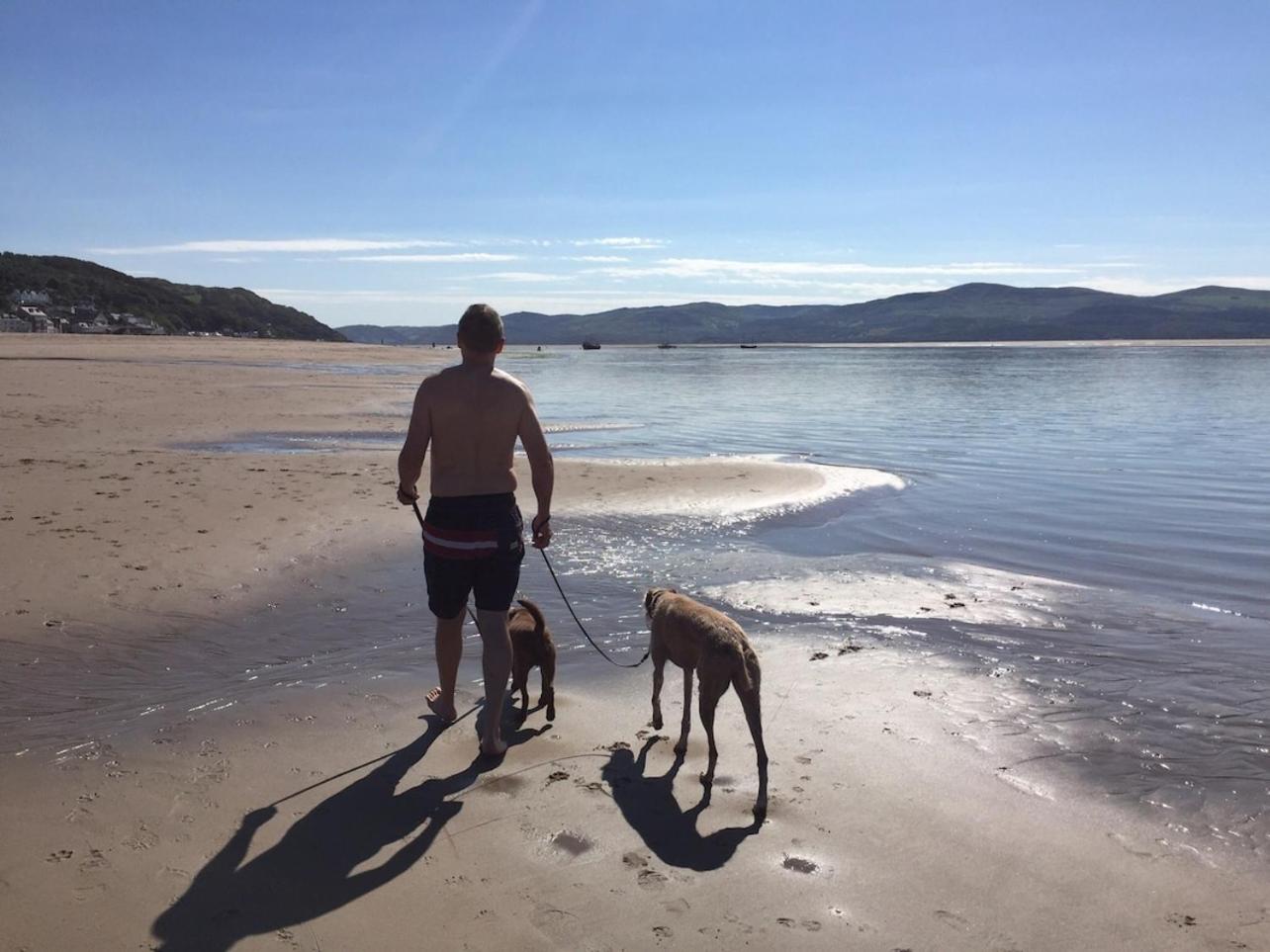 Sunny Shores Aberdyfi Ngoại thất bức ảnh